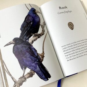 'The Book of Birds'