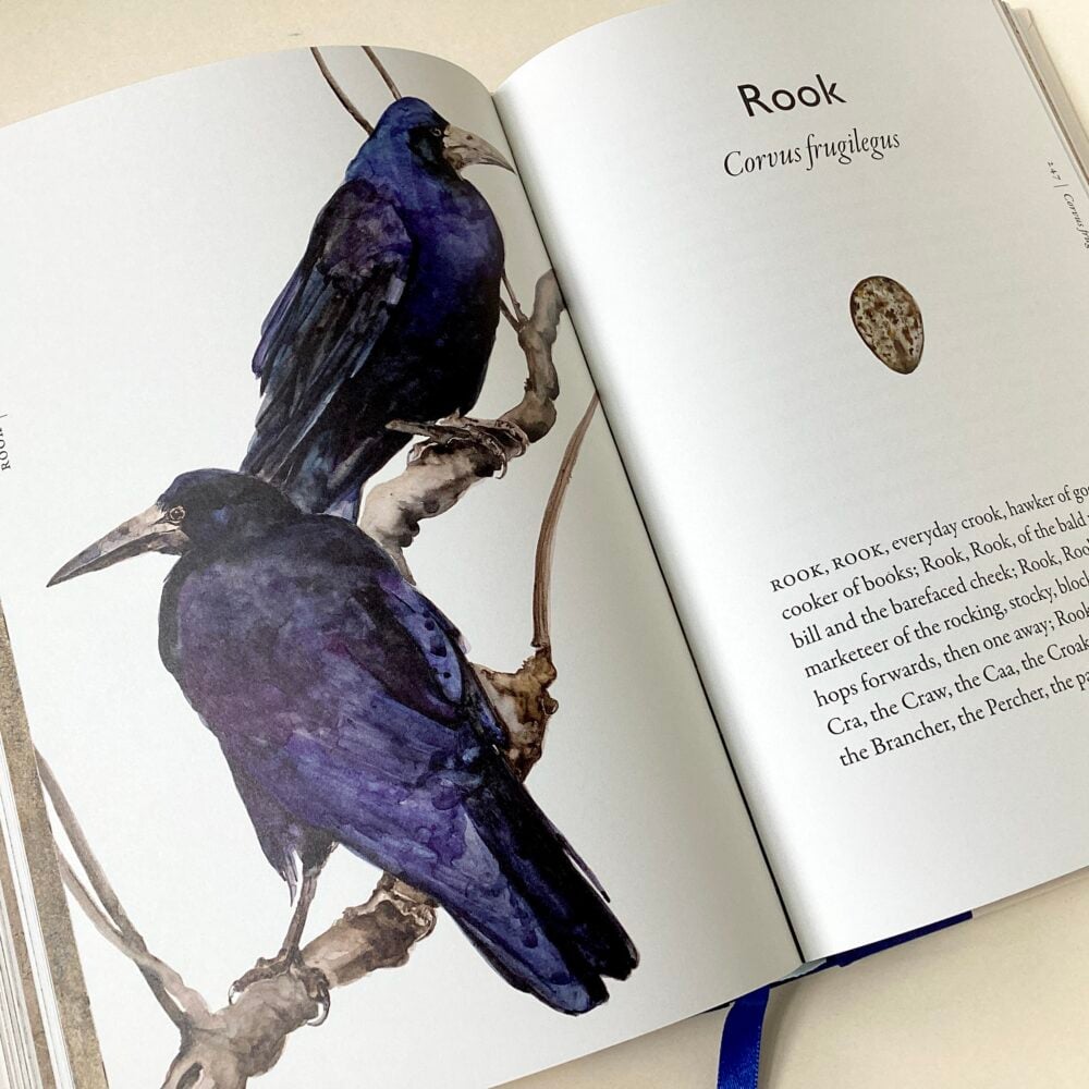 'The Book of Birds'