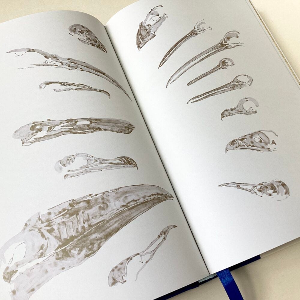 'The Book of Birds'