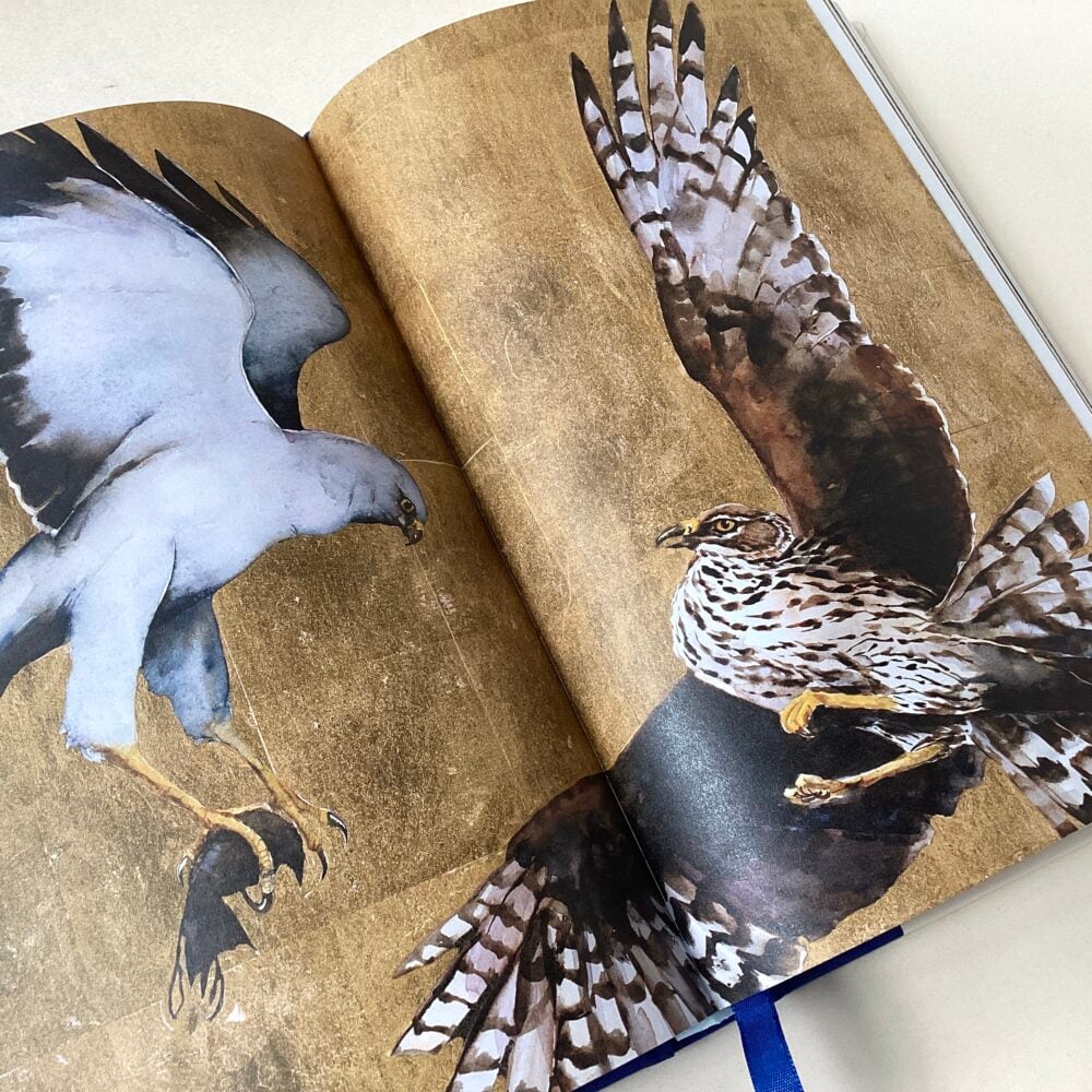 'The Book of Birds'