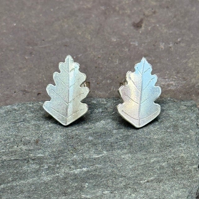 'Silver Oak Leaf Studs'