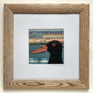 'Oystercatcher'