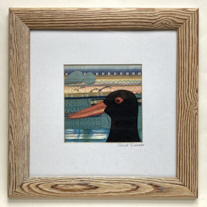 'Oystercatcher'