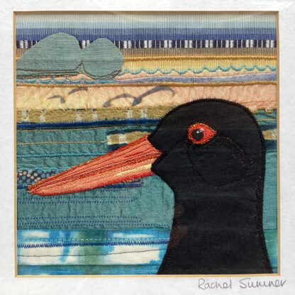 'Oystercatcher'