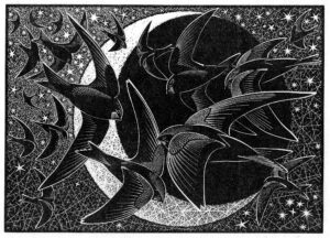 'Swifts, Stars and Sickle Moon'