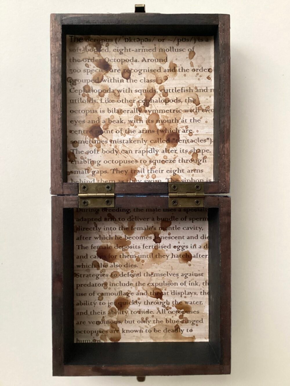 ‘Octopus’ Decoupage Box