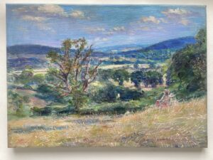 ‘Jo's View, South Shropshire’