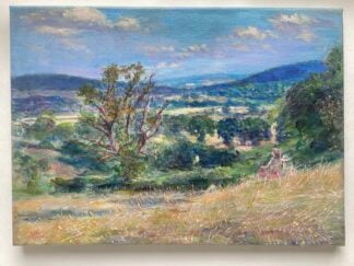 ‘Jo's View, South Shropshire’
