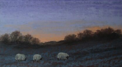 'Early Morning Grazing'