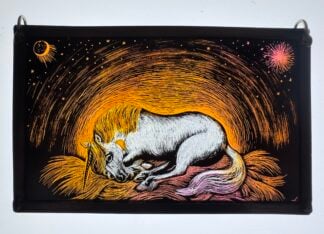 'Cosmic Unicorn'