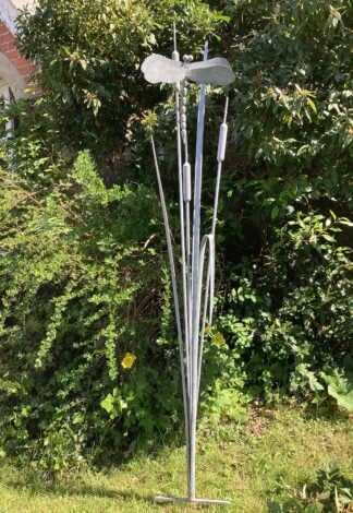 'Dragonfly on Bullrush'