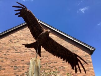 ‘Red Kite in Flight’