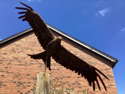 ‘Red Kite in Flight’