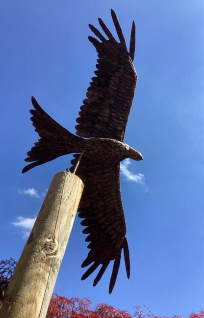 ‘Red Kite in Flight’