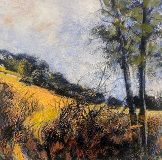 ‘Through the Hedge’