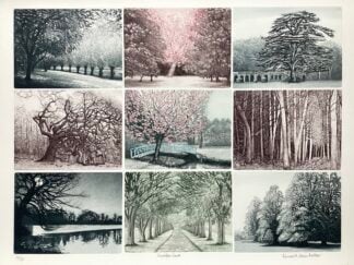 'All the Trees of Shobdon Court'