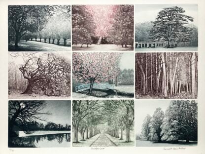'All the Trees of Shobdon Court'