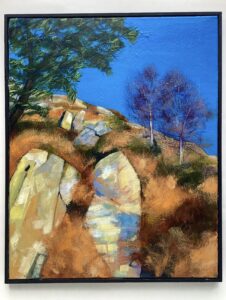 'Rocks at the Elan Valley'