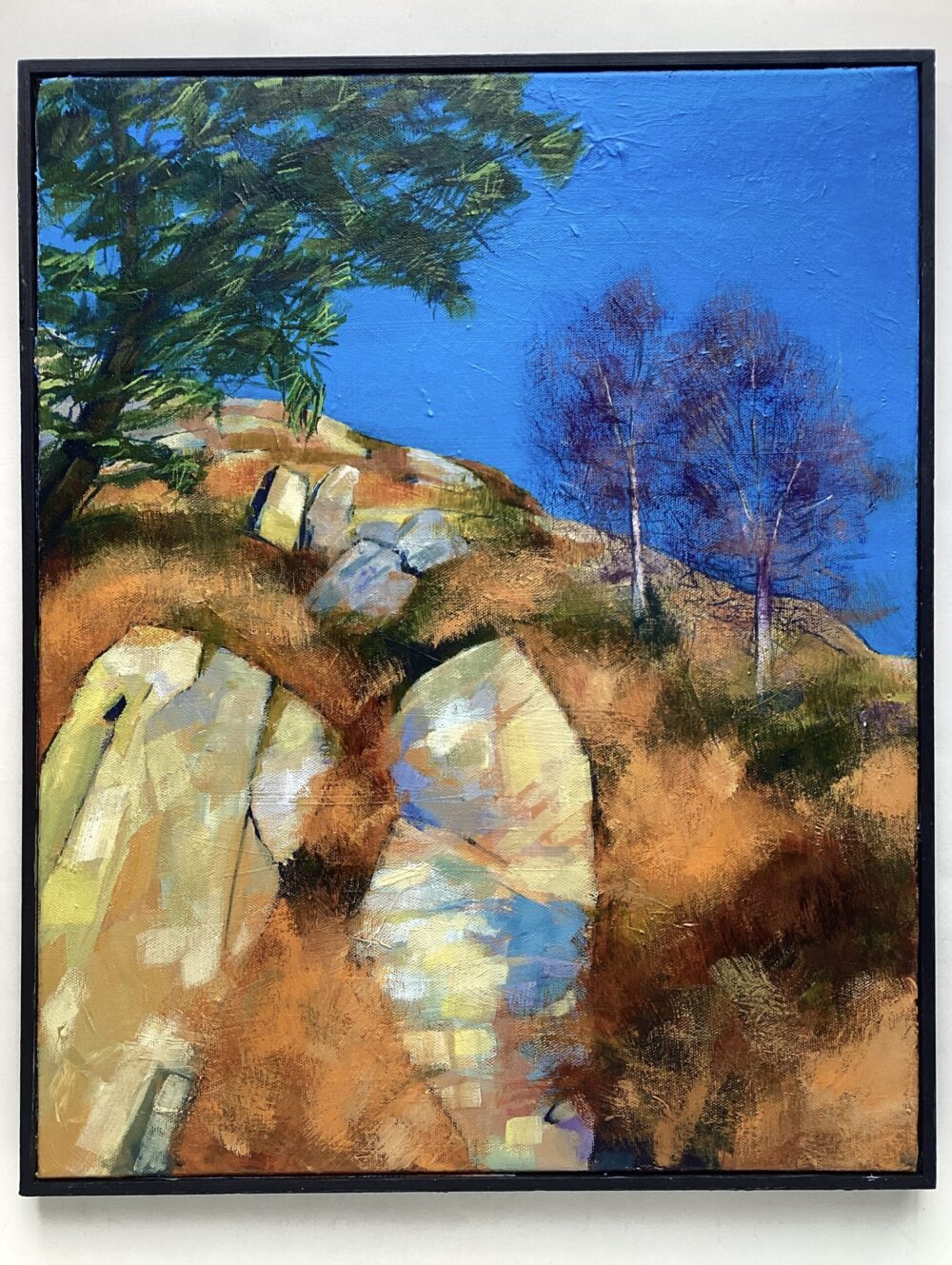 'Rocks at the Elan Valley'